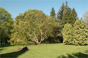D2H_0727