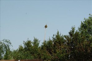 D2H_5872