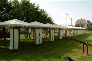 D2H_5874