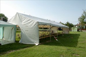 D2H_5875
