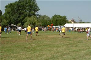 D2H_6146
