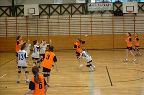 20110226-113716-SPR_2039