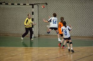 20110226-114416-SPR_2072