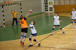 20110226-114654-SPR_2078