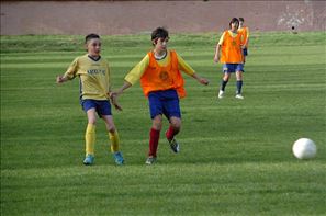 VZA_2362