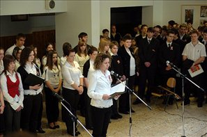 BLS_8128