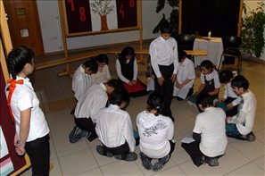 BLS_8245