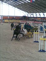 Fedeles-1