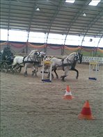 Fedeles-5