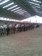 Fedeles-7