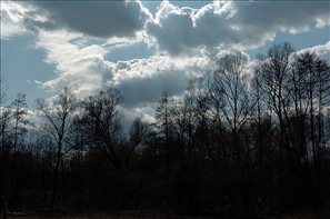 D2H_8775