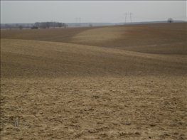 IMGP2442