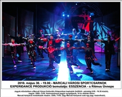 image_0010