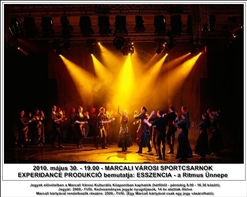 image_0013
