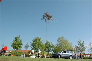 D2H_1800