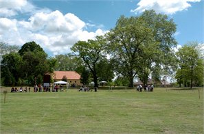 D2H_3605