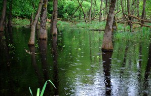 DSC_8541_800x508