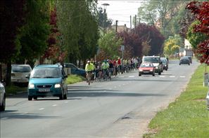 D2H_8399
