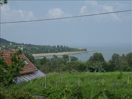 DSCF0497