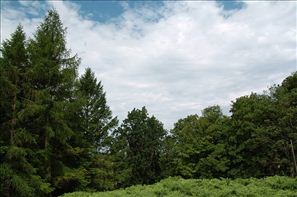 20100529-094710-D2H_0602