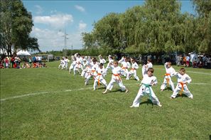 20100605-145502-D2H_3601