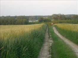 DSCN0263