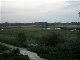 DSCN0270