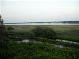 DSCN0271