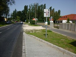 P1010346