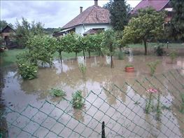 Ozonviz_20100616_08
