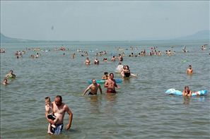 VZA_3952