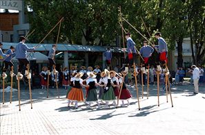 VZA_6171