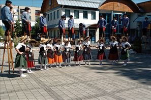 VZA_6175