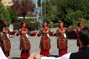 VZA_6255