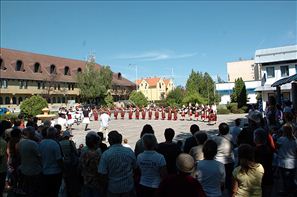 VZA_6289