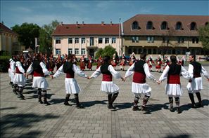 VZA_6292