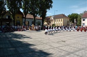 VZA_6303