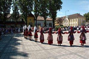 VZA_6308