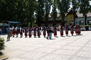 VZA_6309