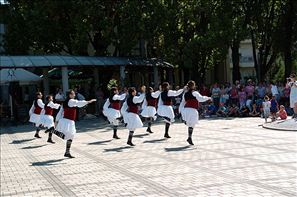 VZA_6313