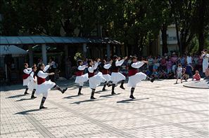 VZA_6315