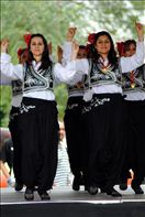 Jano-Dencs-20100731-144434-5002