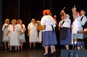VZA_4728