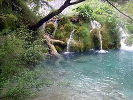 P8300051