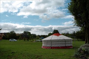 VZA_9653
