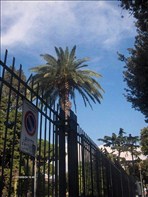 Roma-20100808-150750-080