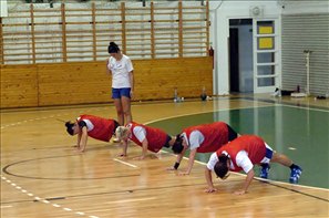 SPR_0500
