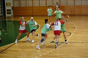 SPR_0766