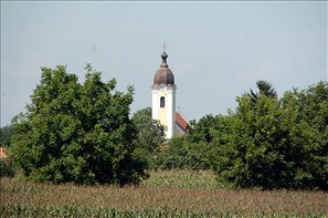 VZA_0913