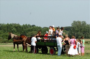 VZA_1058